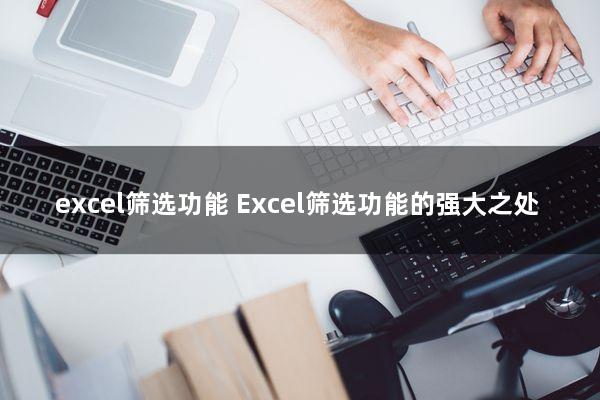 excel筛选功能(Excel筛选功能的强大之处)